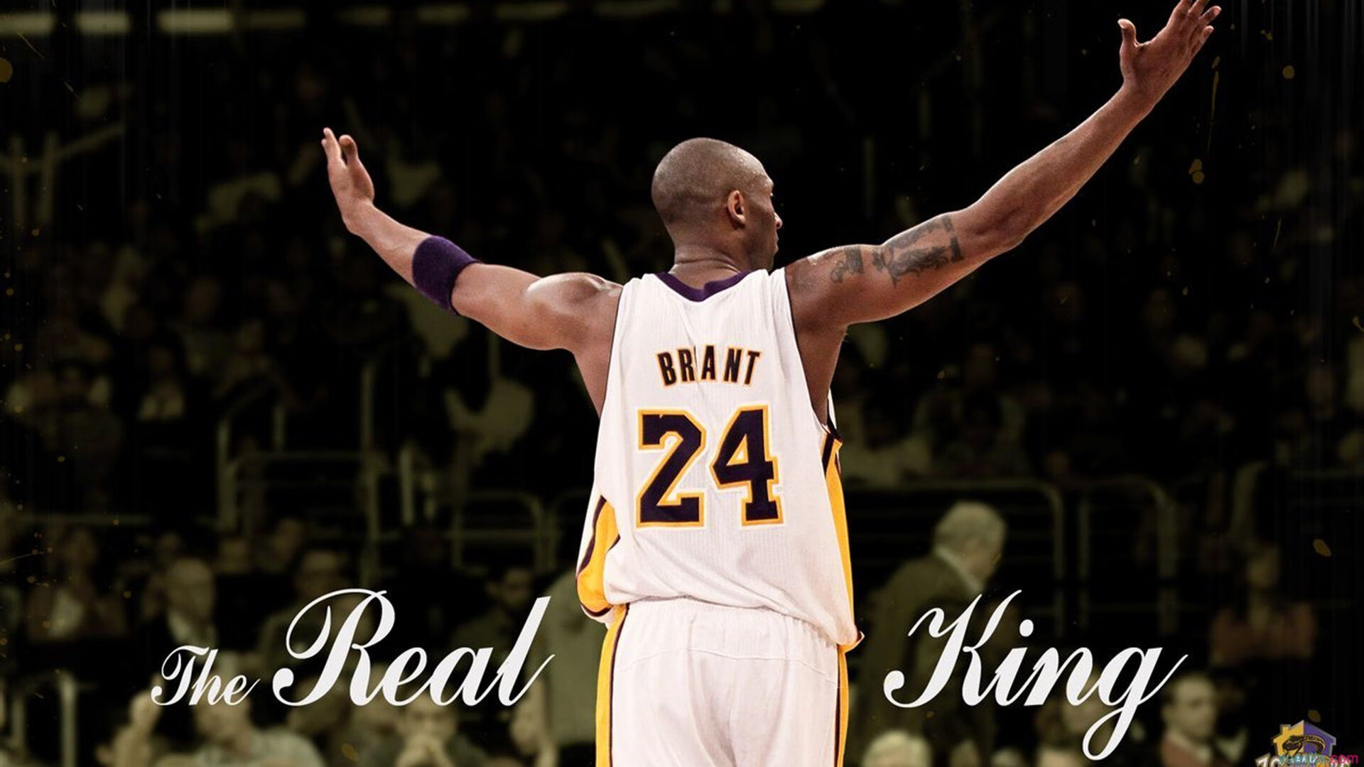 跨界逆袭，从突尼斯篮球到F1赛道，压制与接管的胜利哲学